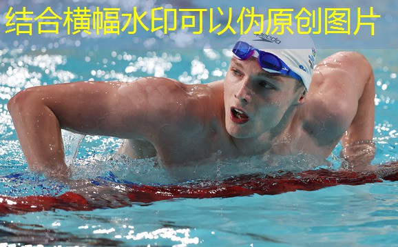 如何选择适合自己身高和体重的踏步浪板？