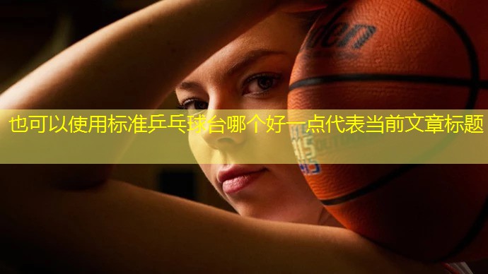 标准乒乓球台哪个好一点
