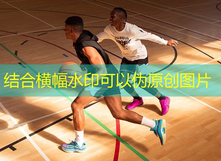 古老传统：鞍马让马匹高雅优美的动作展现
