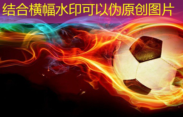 健身器材史密斯安装视频