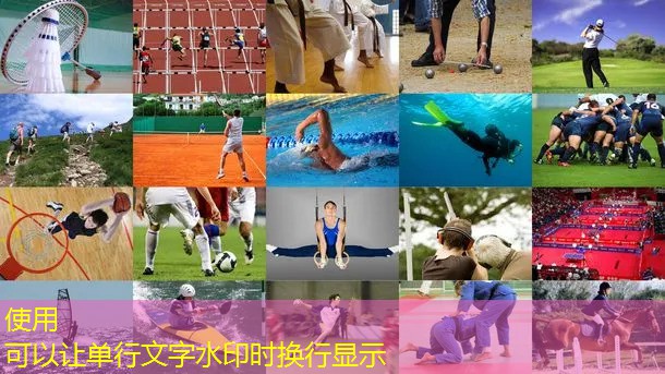 拉力器材用法