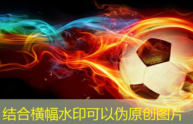 健身房里的器材及名字